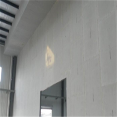 罗甸宁波ALC板|EPS加气板隔墙与混凝土整浇联接的实验研讨